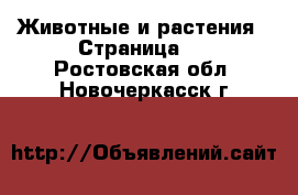  Животные и растения - Страница 2 . Ростовская обл.,Новочеркасск г.